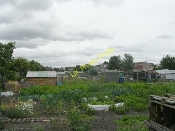 Photo 6"x4" Allotments - York Road Dewsbury c2009