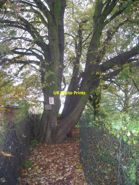 Photo 6"x4" Obstacle on the path Roxby\/SE9216 c2010
