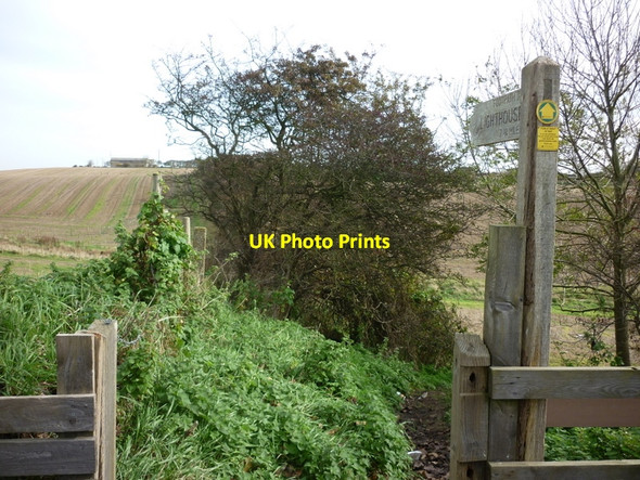 Photo 6"x4" A footpath heading towards Flamborough lighthouse Flamborough c2010