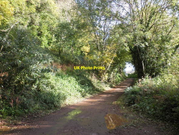 Photo 6"x4" Knowle Lane Cowbridge\/SS9542 c2010