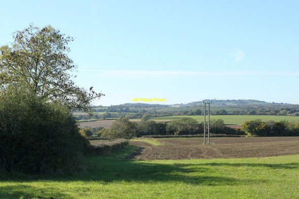Photo 6"x4" 2010 : Looking west at Cloford Common Cloford c2010
