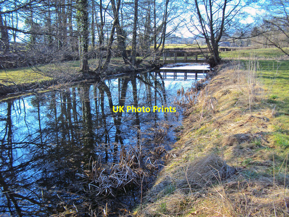 Photo 6"x4" Moat at Old Court  or Hen Gwrt Llantilio Crossenny c2010