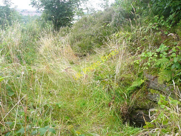 Photo 6"x4" Well and path, Crosland Moor Huddersfield c2009