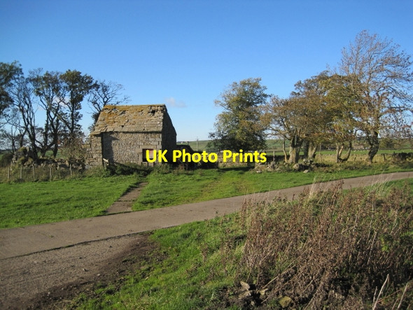 Photo 6"x4" Ruin of a bastle and an outbuilding at Housty Catton\/NY8257 c2010