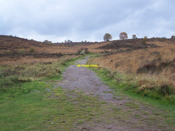 Photo 6"x4" Staffordshire Way, Sherbrook Valley Bednall Head c2010