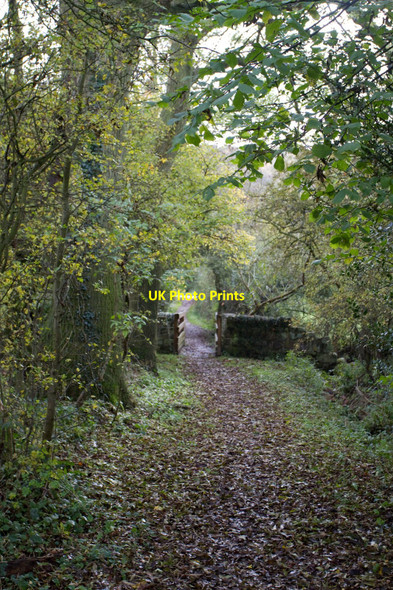 Photo 6"x4" Footbridge over Park Brook Coxbench c2010
