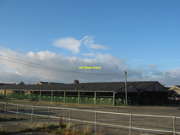 Photo 6"x4" Cattle pens at Darlington Mart Darlington c2010