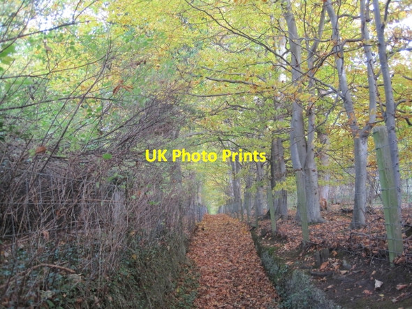 Photo 6"x4" Footpath towards Corbridge Corbridge c2010