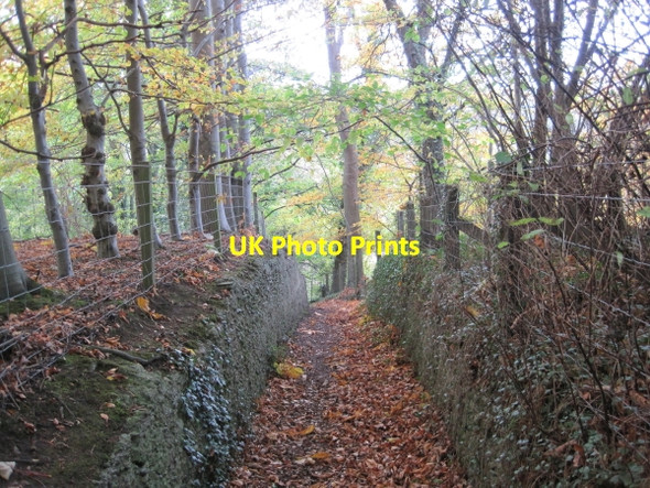Photo 6"x4" Footpath towards River Tyne Corbridge c2010