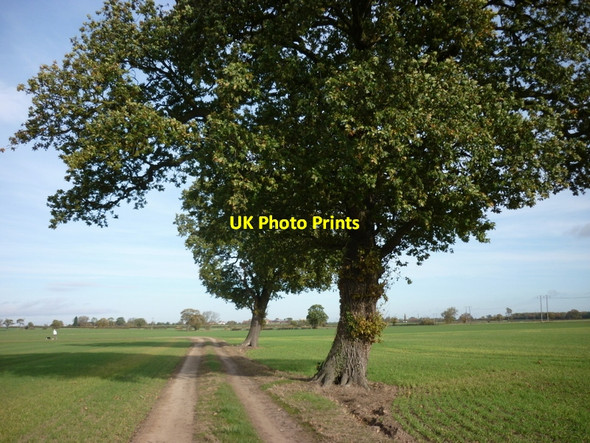 Photo 6"x4" Heading to Stillingfleet from Kelfield Kelfield\/SE5938 c2010