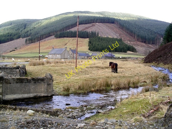 Photo 6"x4" Williamslee Farm Williamslee c2006
