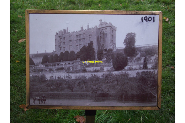 Photo 6"x4" Powis Castle Welshpool\/Y Trallwng c2010 P1