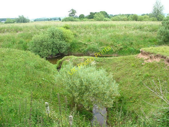Photo 6"x4" Stream flowing into the Till Chatton c2009