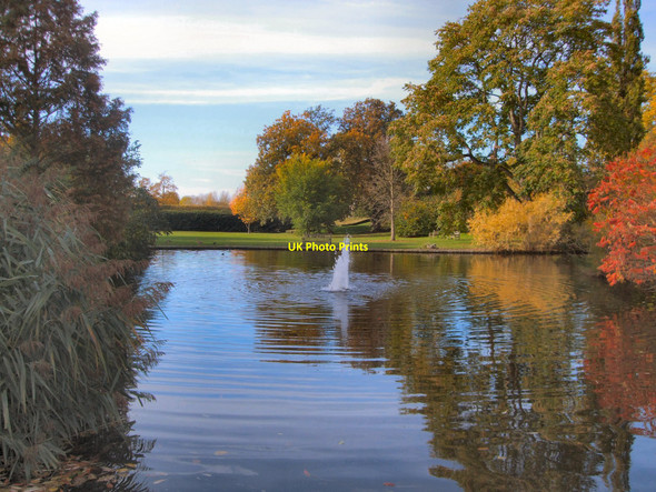 Photo 6"x4" Pond at North of Kew Gardens  Brentford c2010