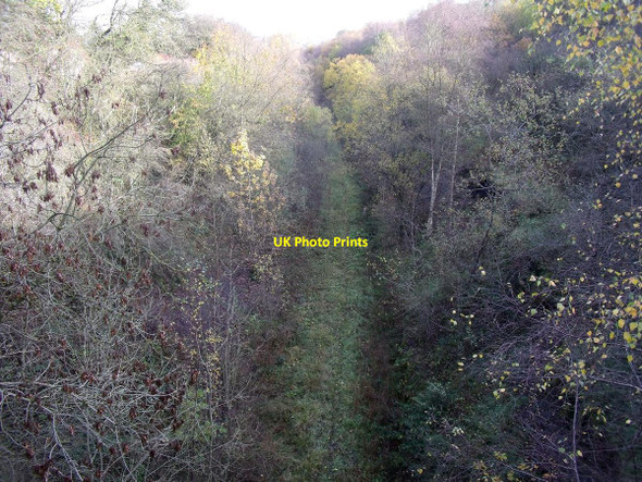Photo 6"x4" Cutting on the Waterhouses branch line Cauldon c2010