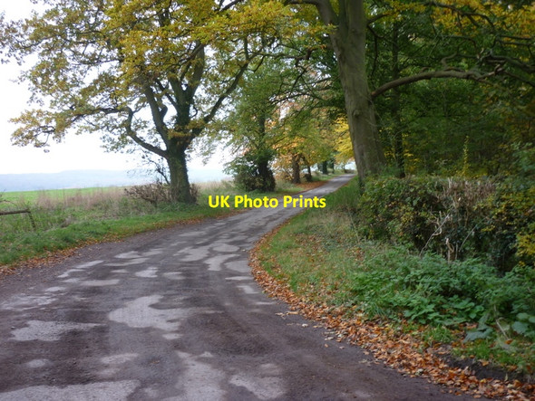 Photo 6"x4" Salents Lane heading towards Wharram le Street Birdsall c2010