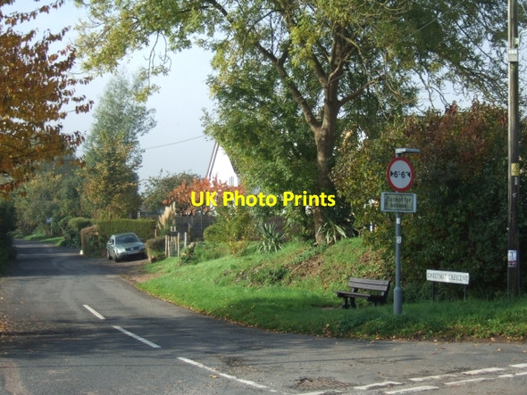 Photo 6"x4" Chestnut Crescent, Stoke Canon Huxham c2010