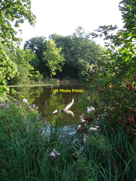 Photo 6"x4" Country Park Lake Duffryn\/ST2985 c2010