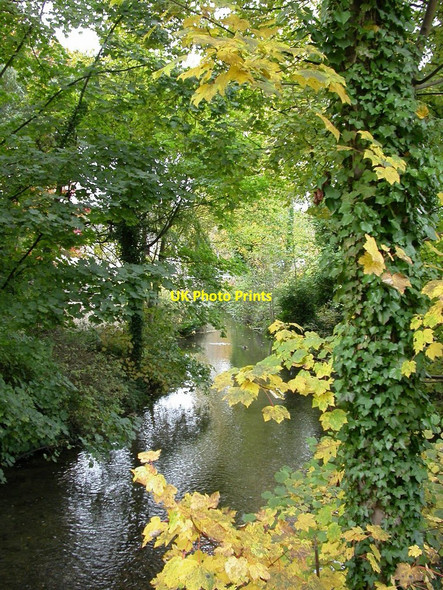 Photo 6"x4" Nailsworth Stream Nailsworth c2010