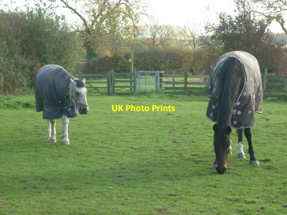 Photo 6"x4" The Minster Way near Kilnwick Cawkeld c2010