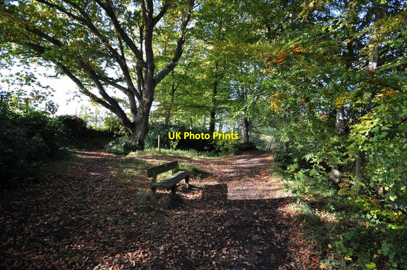 Photo 6"x4" A place to rest on the footpath from Fremington to the quay Fremington\/SS5132 c2010