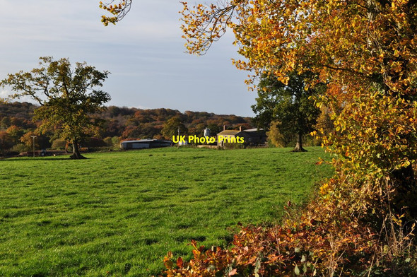 Photo 6"x4" Bourne Park near Meshaw Moor Meshaw c2010