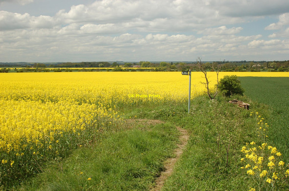 Photo 6"x4" The Viking Way near Bigby in Lincolnshire Barnetby le Wold c2010