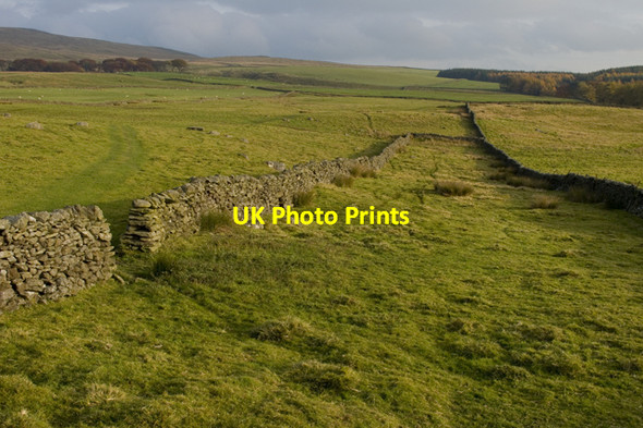 Photo 6"x4" Field off Lambert Lane Settle c2010