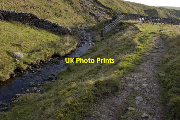 Photo 6"x4" Track alongside Bookil Gill Beck Long Preston c2010