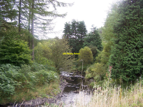 Photo 6"x4" Glengap burn Fore Hill of Glengap c2004