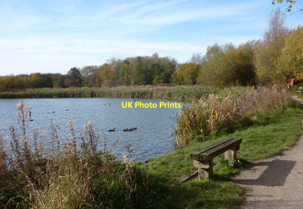 Photo 6"x4" The Old Flash at Carr Vale Bolsover c2010