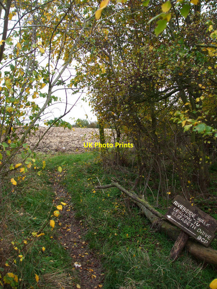 Photo 6"x4" Riverside Walk Rawreth c2010
