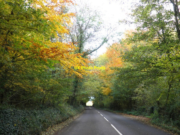 Photo 6"x4" The B3187 passes through Higher Park Kiln Covert Houndsmoor c2010