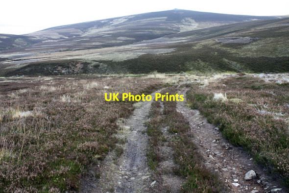 Photo 6"x4" Track on Blairlick Hill Little Mount Meddin c2010