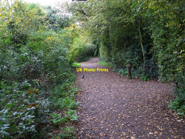 Photo 6"x4" Kendal Park Hullbridge c2010