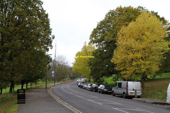 Photo 6"x4" South Terrace Wood Green\/TQ3090 c2010