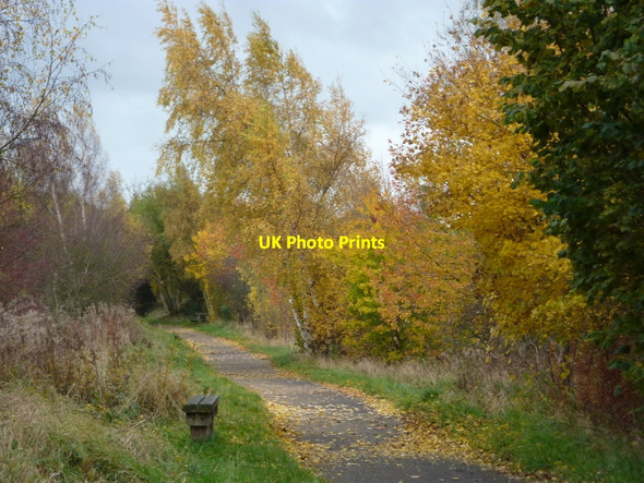 Photo 6"x4" Stockley trail, looking south Bolsover c2010