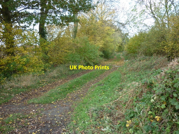Photo 6"x4" West on Badger Lane off the A19 Selby Road Walden Stubbs c2010