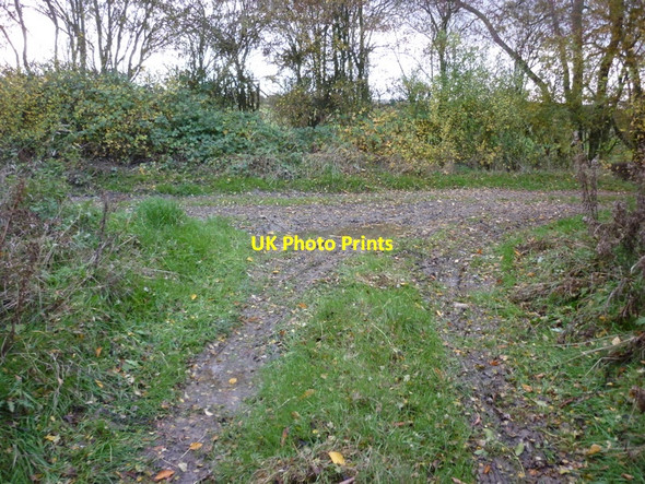 Photo 6"x4" Badger Lane joins Common Lane Walden Stubbs c2010