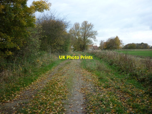 Photo 6"x4" West along Common Lane towards  Walden Stubbs Walden Stubbs c2010