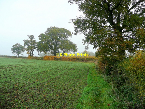 Photo 6"x4" Field edge north of Wood Farm Barrow\/SO8824 c2010
