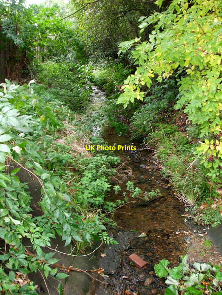 Photo 6"x4" Urban Stream Rayleigh c2010