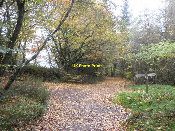 Photo 6"x4" Footpath crossroads, Wootton Common Cowbridge\/SS9542 c2010