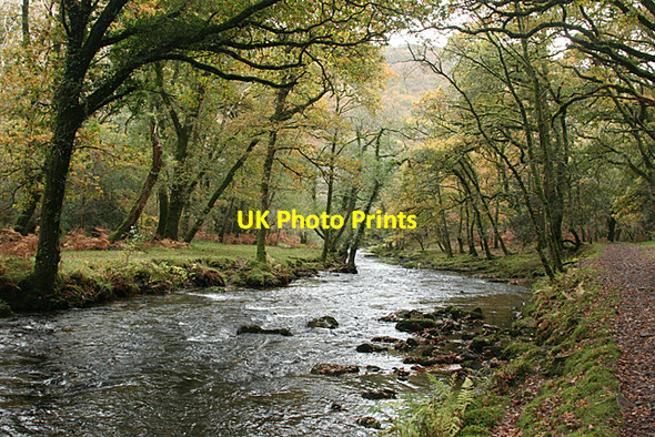 Photo 6"x4" Whitchurch: the river Walkham Grenofen c2010
