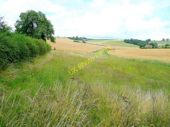 Photo 6"x4" View north-west of Dam Wood Kiln Green\/SO6019 c2009