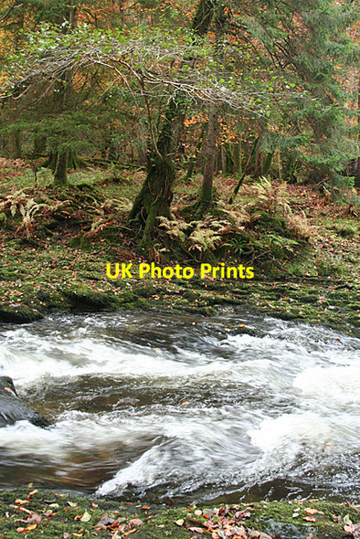 Photo 6"x4" Whitchurch: by the river Walkham Grenofen c2010