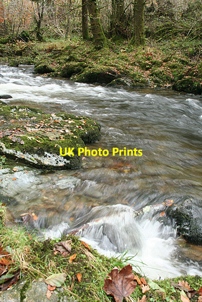 Photo 6"x4" Whitchurch: the Walkham flows down Grenofen c2010