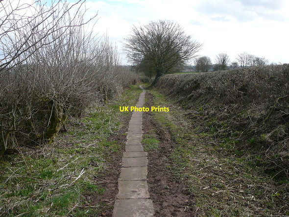 Photo 6"x4" Paved path near Holbrook Farm Gallows Green\/SK0741 c2010