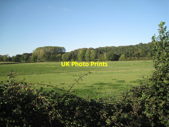 Photo 6"x4" Woodland east of Coppice Corner Farm: 2 Lowsonford c2010