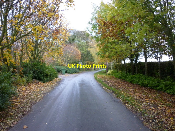 Photo 6"x4" East along Southside Road, Halsham East End\/TA2927 c2010